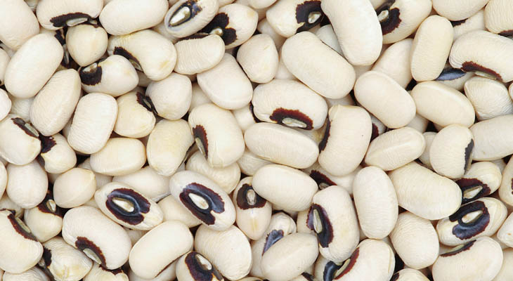 Hạt đậu trắng được nhiều chuyên gia khuyến khích sử dụng